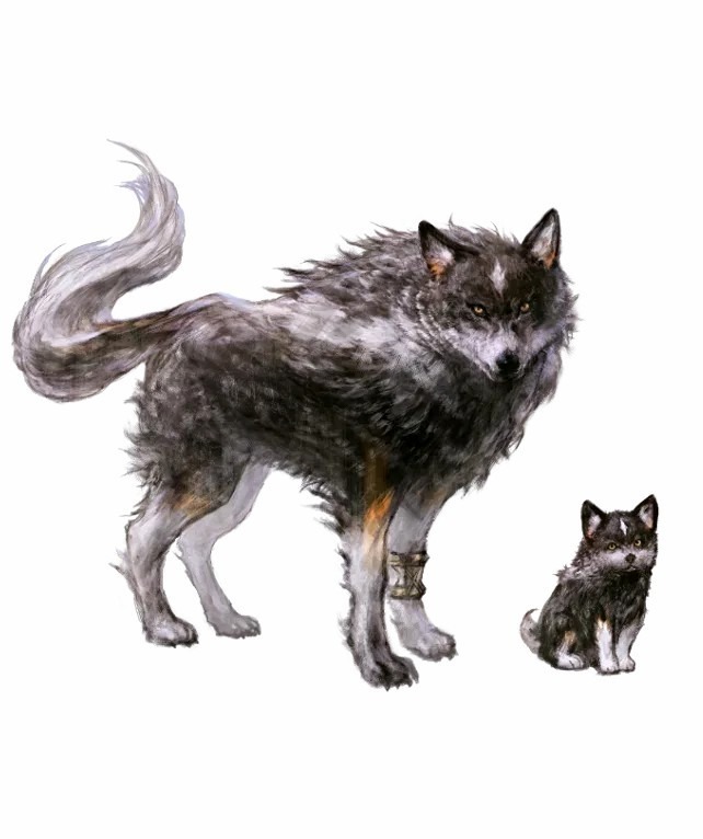 《最终幻想16》官方再次强调 主角伙伴“托加尔”是狼不是狗