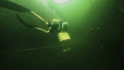 教授在水底生活100天，只为研究能否长寿！